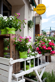 Comptoir de nos fleurs 💐 Comptoir de nos fleurs 💐